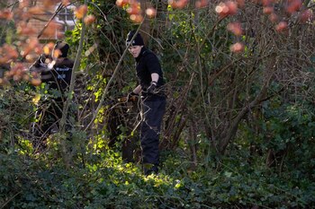 Joven mató a un amigo y trató de decapitarlo, años antes lo expulsaron del colegio por amenazar con cuchillo a una niña
