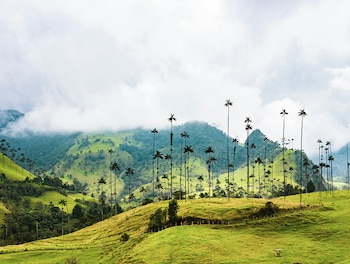 La región del Eje Cafetero