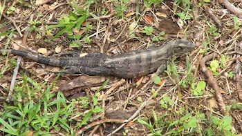 El país tiene 27 parques