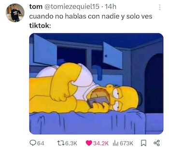 La suspensión de TikTok en