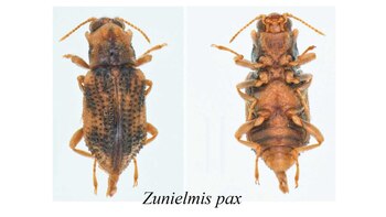 Imagen US45SAKEHVHW7NBQZCH7G5JDU4