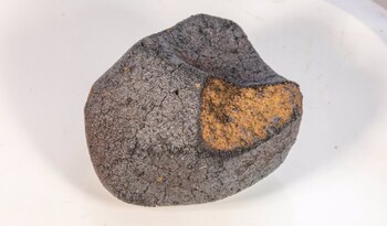 Meteorito recogido en Alemania en