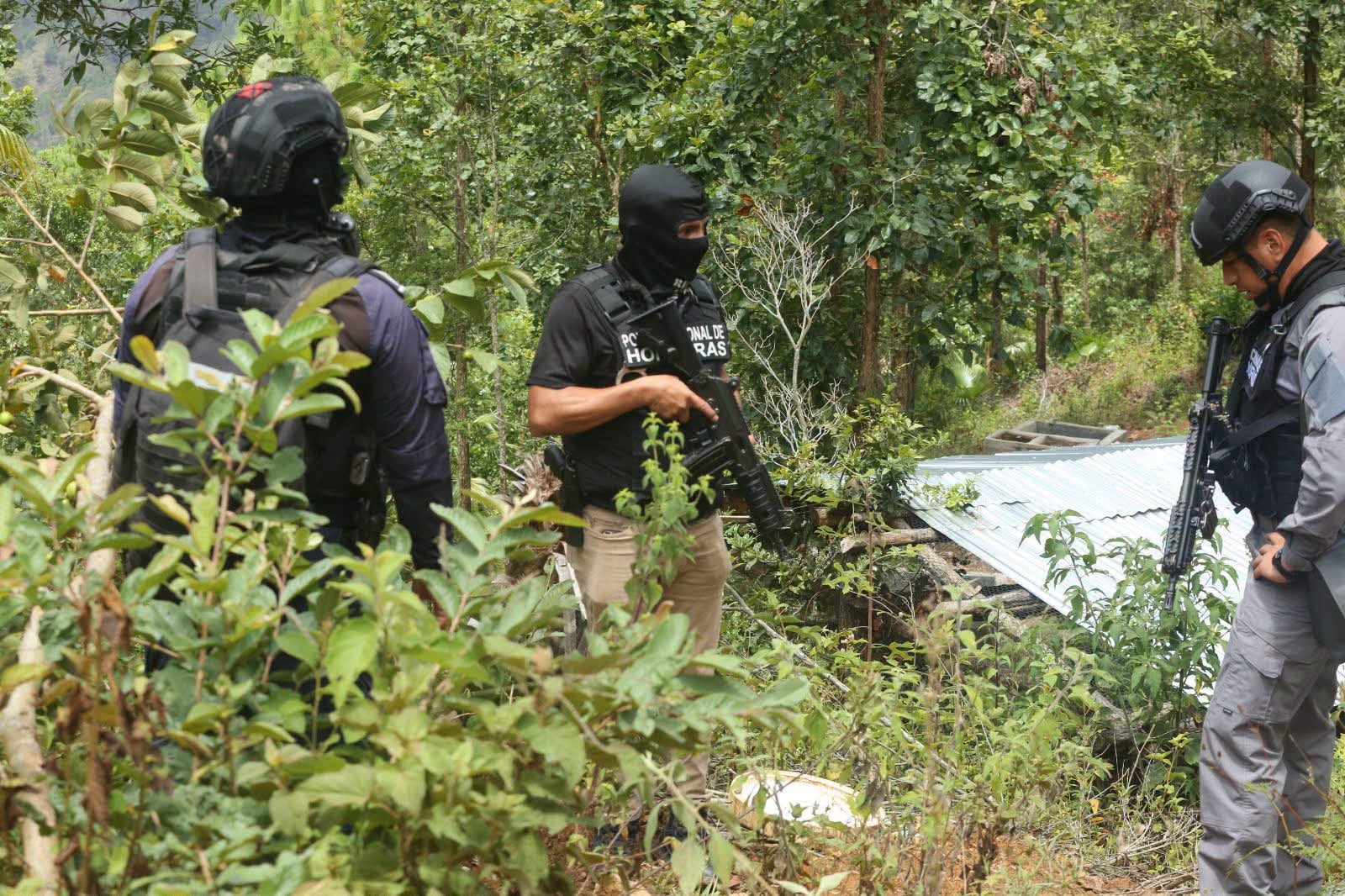 Tras el rescate, las tres menores quedaron bajo resguardo de las autoridades para garantizar su protección. (Foto: Cortesía)