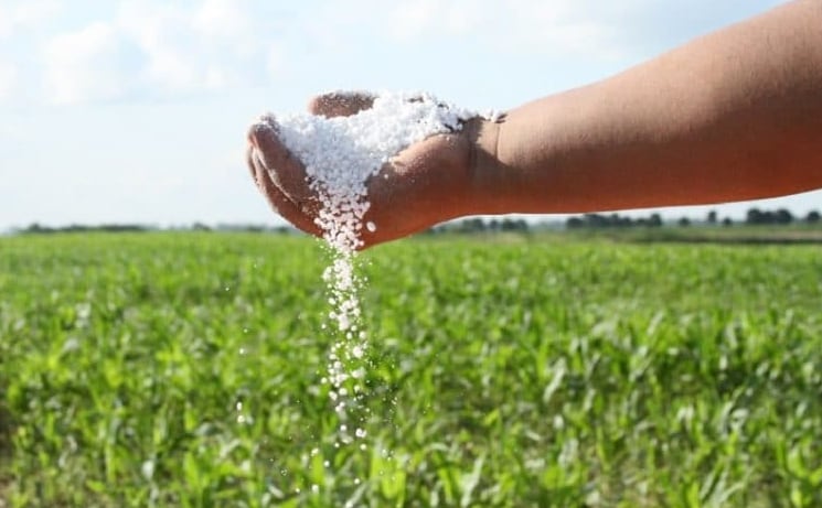 Se considera que el mercado argentino de urea se encuentra bien abastecido (Revista Chacra)
