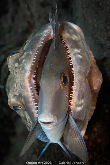 "Todo está bien" 4º puesto