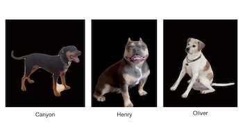 En el primer experimento, el