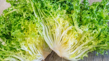 Una receta deliciosa con escarola,