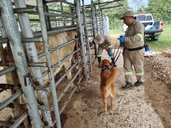 Autoridades de Guatemala garantizaron la