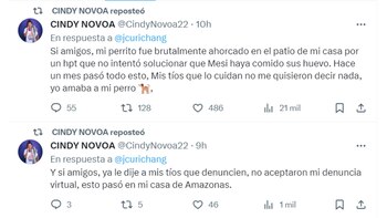 Cindy Novoa indicó que sucesos