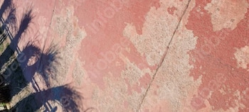 Suelo de color rosado y beige con textura áspera y áreas descascaradas, dividido por una grieta diagonal. En la izquierda hay sombras de hojas largas y delgadas
