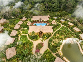 Entre las actividades que puedan