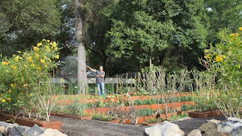Foto del Jardín Botánico del