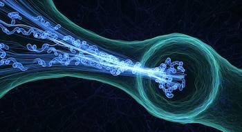 Interior de una célula viva con flujos de proteínas azules brillantes moviéndose a través de una estructura celular verde translúcida sobre un fondo oscuro y texturizado.