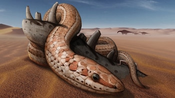 Ilustración de la Najash rionegrina,