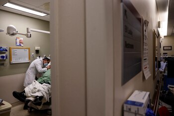 “Hay muchas células inmunitarias en el tracto gastrointestinal, y estimular el sistema inmunitario del tracto gastrointestinal es una forma conocida de crear una respuesta inmunitaria” (REUTERS)