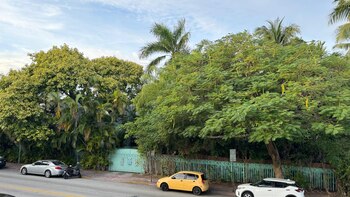 Sanel Canovic y Azra Nikocevic,