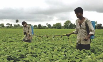 Gente trabajando en el campo