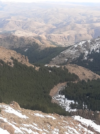 Huinganco Museo del Árbol y la Madera