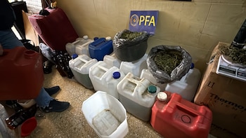 Allanaron una vivienda en la que fabricaban y vendían “Fernnabis”, una bebida a base de fernet con cannabis: dos detenidos