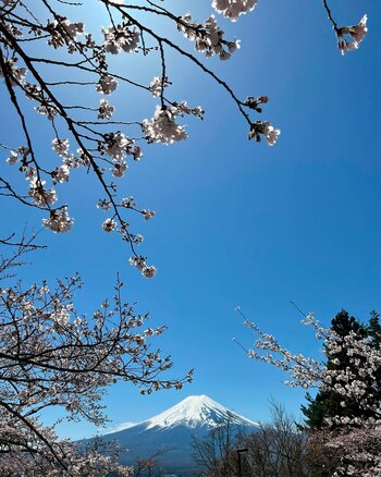 El bellísimo monte Fuji tomado