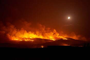 Imagen UTD5RXNKIZGTBFY75OB57JPPFU