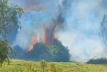 La temporada de incendios forestales comenzó con emergencias activas en Arequipa y una alerta máxima en Cusco. COER