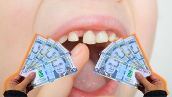 Conoce todo acerca de esta