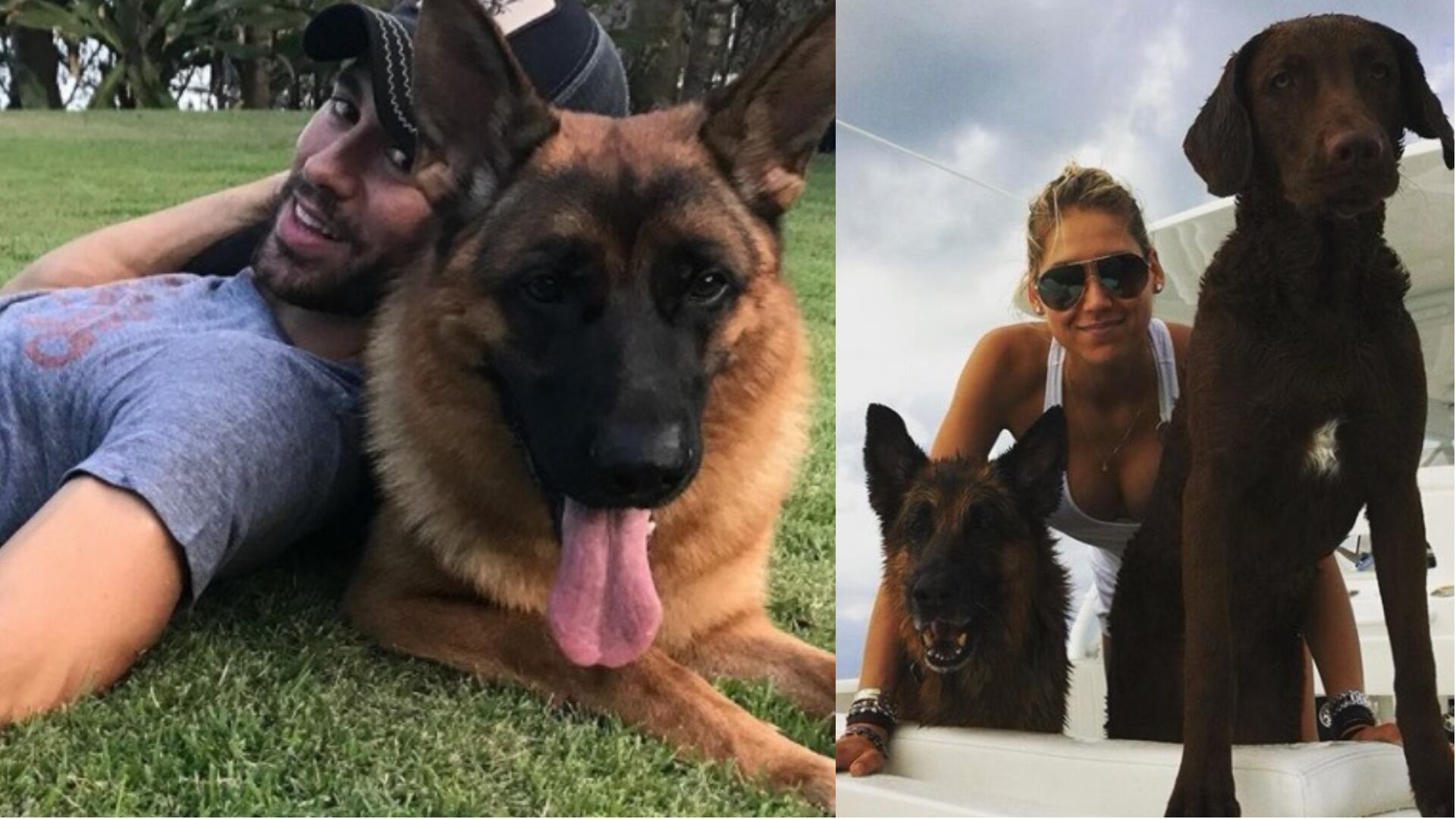 Anna y Enrique Iglesias tienen dos perros con los que suelen subir fotos a las redes (Instagram)