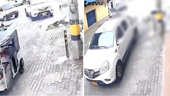 Un perro fue atropellado por una camioneta en La Unión, Antioquia: alcaldía ya identificó el vehículo