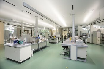 El centro se concentra en