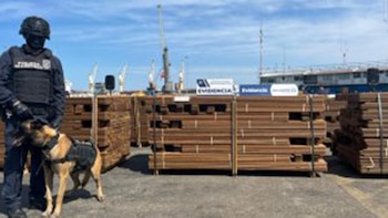 La Policía Marítima chilena decomisó