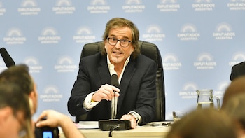 Bertie Benegas Lynch, presidente de