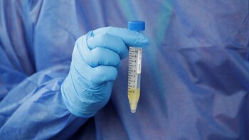 Paraguay detectó otra nueva variante