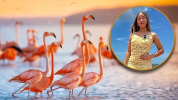 Influencer Elisa La Yuca es criticada por espantar a una parvada de flamencos en Yucatán