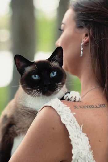 Kaylee considera que su gato