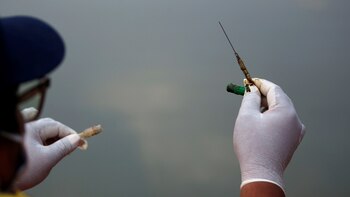 Identifican una cepa de coronavirus