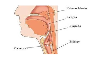 Esquema que muestra la cercanía