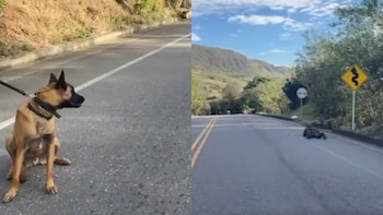 Ejército Nacional neutralizó atentado con explosivos en la vía Panamericana, al norte de Nariño