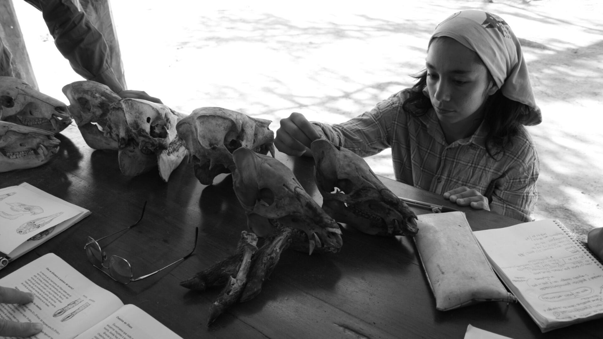 La científica Micaela Camino será distinguida en Washington con el premio National Geographic/Buffett 2025, otorgado a líderes de la conservación por su trabajo en la protección del quimilero, especie endémica del Chaco incluida en la lista roja de la UICN(Sara Cortez)