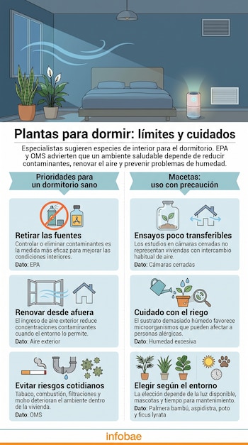 Infografía sobre plantas de interior con la ilustración de un dormitorio y seis bloques con recomendaciones e íconos informativos.