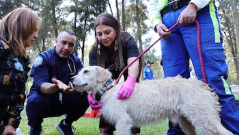 Clara Brugada reitera que el