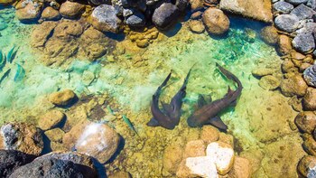 (Crédito: prensa INTUR)