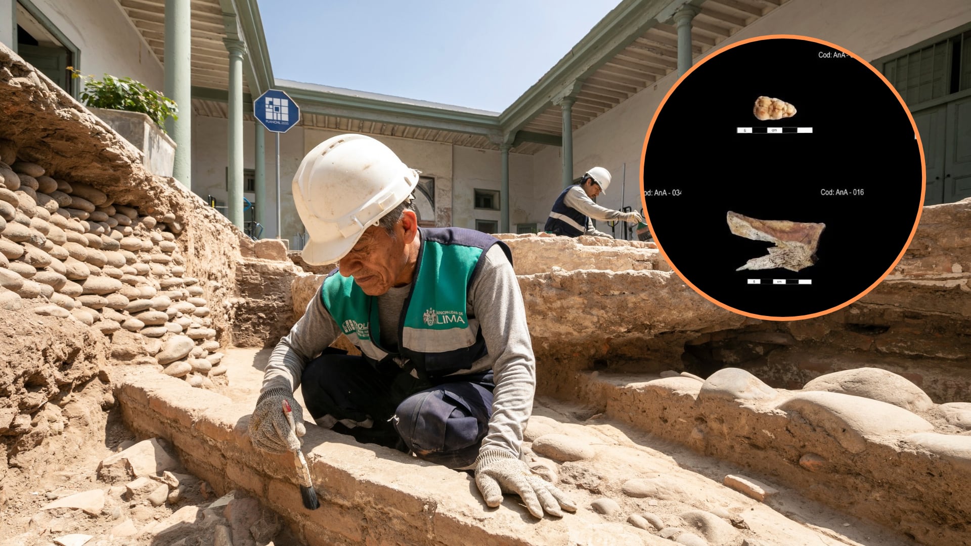 El proyecto AnimAndes estudia 42 huesos y piezas dentales recuperados en dos inmuebles del Centro Histórico para conocer cómo convivieron las especies introducidas con los animales locales. Composición: Infobae