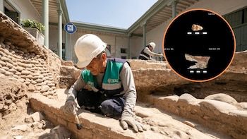 Huesos del Virreinato revelan qué animales europeos llegaron al Perú y cómo cambiaron la alimentación durante la época colonial