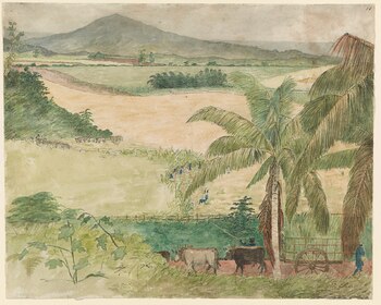 “Sugar estate - Negros cutting