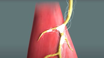 “Utilizando la luz mediante la