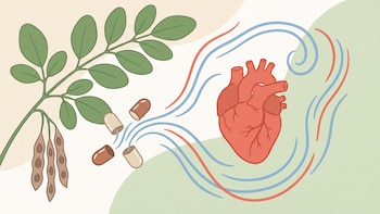 La revisión científica vincula a la moringa con posibles mejoras en la presión arterial