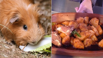 INS destaca valor nutricional de