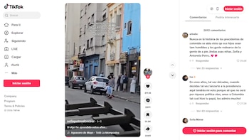 La hija del presidente Gustavo Petro generó diversas reacciones por un video mostrando su vida fuera de Colombia - crédito TikTok