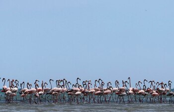 En La Guajira quieren mirar al mar como el gran polo de desarrollo para el turismo - Joaquín Sarmiento/Reuters